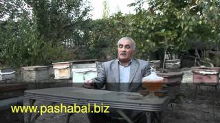 Arı beçəsi haqqında ümumi məlumat
