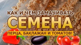 Как и чем замачивать семена ПЕРЦА, БАКЛАЖАН И ТОМАТОВ!