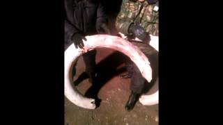 Вот что нашли на руднике... КАЗАХСТАН. 2014 ..Exclusive..MixedLine