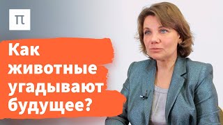 Локомоция и реакция на неопределенность — Варвара Дьяконова 