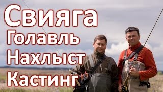 Свияга. Голавль. Нахлыст и кастинг.