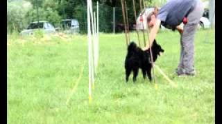 AGILITY FOUNDATION 1# lession