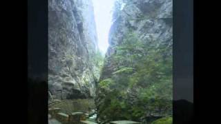 DOINA -  MOCIRITA