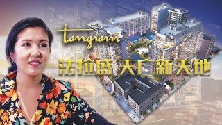Tangram 法拉盛的天广· 新天地 Tangram: A New Era of Flushing 安家纽约LivingInNY (02/07/18)