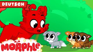 Morphle und die Kätzchen | Cartoon für Kinder | Mila und Morphle auf Deutsch