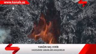 SHEKININ DASUZ KENDINDE MAL TOVLESI YANDI