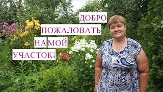 Обзор Моего Участка. Цветы в Саду.