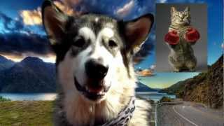 Впихивает невпихуемое - stories northern 4