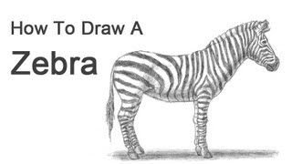 How to Draw a Zebra