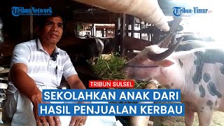 Pong Erna menyekolahkan ke-7 anaknya dari hasil menjual kerbau.