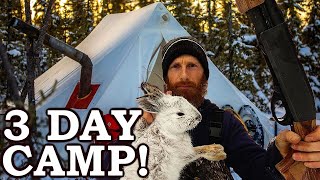 Overnight Winter Camping in Canada! | Wood Stove, Wild Food