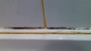 How to Clean Black Mildew Mold from Shower Silicone Mastic Sealant Caulking