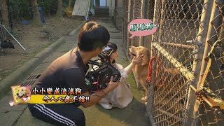 《????黑喵知情花絮????》 台灣收容所的現況 領養代替購買