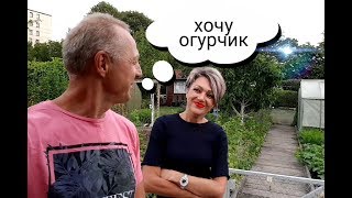 НА ДАЧЕ У РОДИТЕЛЕЙ.КАК ВЫГЛЯДИТ ДАЧА В ГЕРМАНИИ.ЧТО САДЯТ,ЧТО РАСТЁТ.