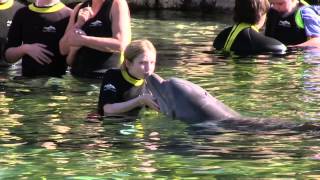 Dreamflight 2013 Glimpse Video