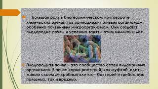 Здоровье почвенной экосистемы. Органическое земледелие