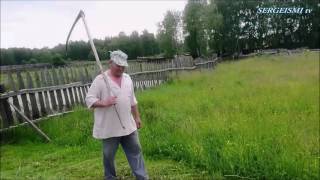 Трын Трава