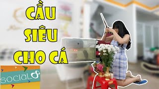 Vĩnh Vớ Vẩn | Troll Cá Bị Ung Thư Não Và Pha Phản Dame Cực Gắt Của Hằng  | Troll Beautiful Girl