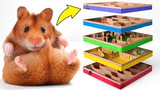 Super tolles 5-Level-DIY-Labyrinth für aktive Hamster ?