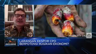 Ekspor CPO Dilarang Sementara, Ekonomi RI Rugi Berapa?