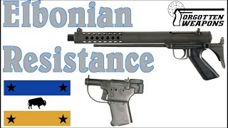 Ask Ian: Liberators or Cobray Terminators for the Elbonian Resistance?