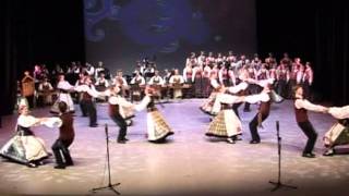 JADVYGOS polka