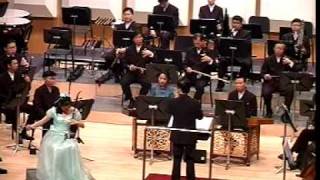 著名二胡演奏家：许文静演奏 新婚别