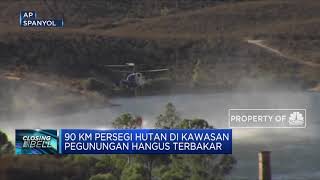 Kebakaran di Wilayah Spanyol, 2.400 Orang Dievakuasi