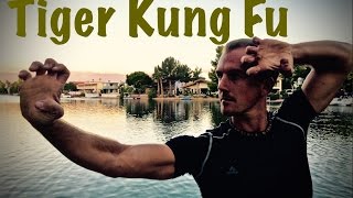 REAL Tiger Kung Fu Kata - YouTube CHALLENGE