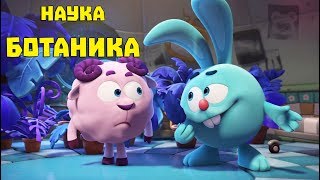 Ботаника - сборник. Смешарики. ПИН - код | Познавательные мультфильмы