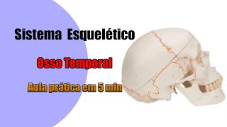 Sistema esquelético _ Osso Temporal _ Aula Prática 5