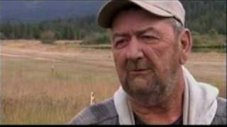 Wolves kill Montana guard dog