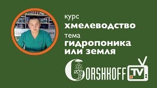 #061 ГИДРОПОНИКА ИЛИ ЗЕМЛЯ.