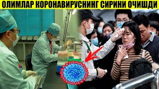 ТЕЗ КЎРИНГ!!! ОЛИМЛАР КОРОНАВИРУСНИНГ СИРИНИ ОЧИШДИ!!!