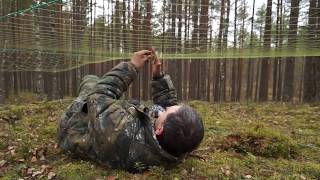 Глухарь: отлов, мечение, радиослежение. Western capercaillie: catching, tagging and tracking.