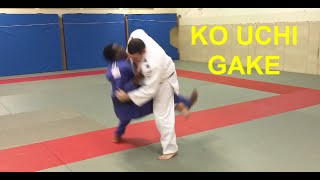Ko uchi gake