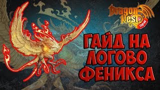 New Dragon Nest • Гайд на логово Феникса