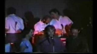 Family 1970 live