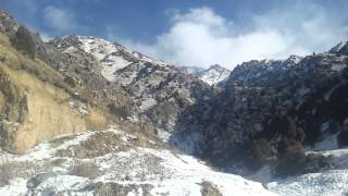 Топоз куурдак 78 жылкы балдар