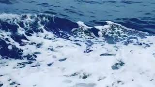 Аренда яхт в Анталии .прогулка на яхте