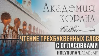 Чтение трехбуквенных слов с огласовками | Академия Корана™