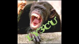 Глупый смех вора и подлизы LY3CU