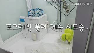 #114 요술망+지우개3개짜리 뽑다 포크레인이...