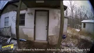 Dog found dead after officer takes no action on animal abuse report
