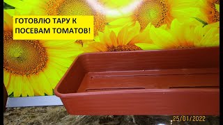 Огород. Подготовка тары к посевам томатов.