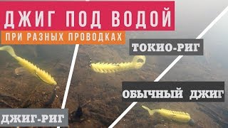 Что там под водой или день пассивной щуки... [TokyoRig vs JigRig vs Jig]