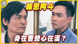 《黃金爆爆爆》黃金歲月 EP309 報恩阿斗 身在曹營心在漢？