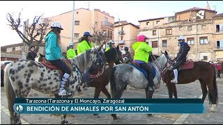 San Antón en Tarazona. Bendición de animales