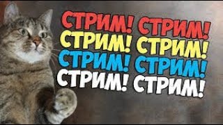 Стрим! ❆ 23.03.2019