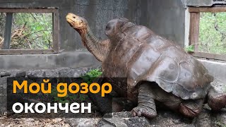 Спасение от вымирания: эспаньольский "плейбой" вернулся домой